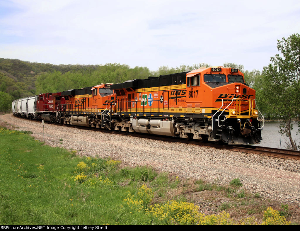 BNSF 6017